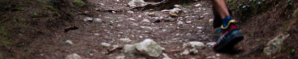 Man hiking on a path